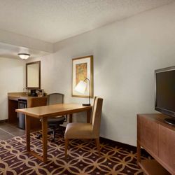 Embassy Suites by Hilton Dallas DFW Airport South - Guest room