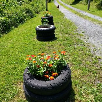 Mountain View Motorcycle Campground - Recycled motorcycle tires along driveway. - Campgrounds Near Me - Elk Park, North Carolina Mountain View Motorcycle Campground - Recycled motorcycle tires along driveway. - Campgrounds Near Me - Elk Park, North Carolina