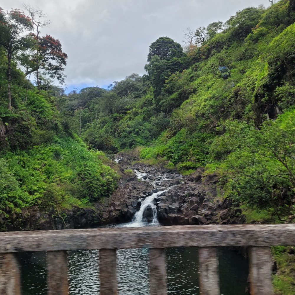 Maui's Private Guide - Beer Tours Near Me Maui's Private Guide - Beer Tours Near Me