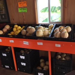 The Melon Shack