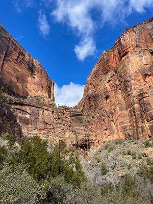 Angels Landing by null