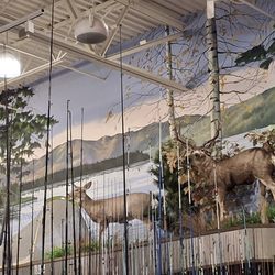 Bass Pro Shops
