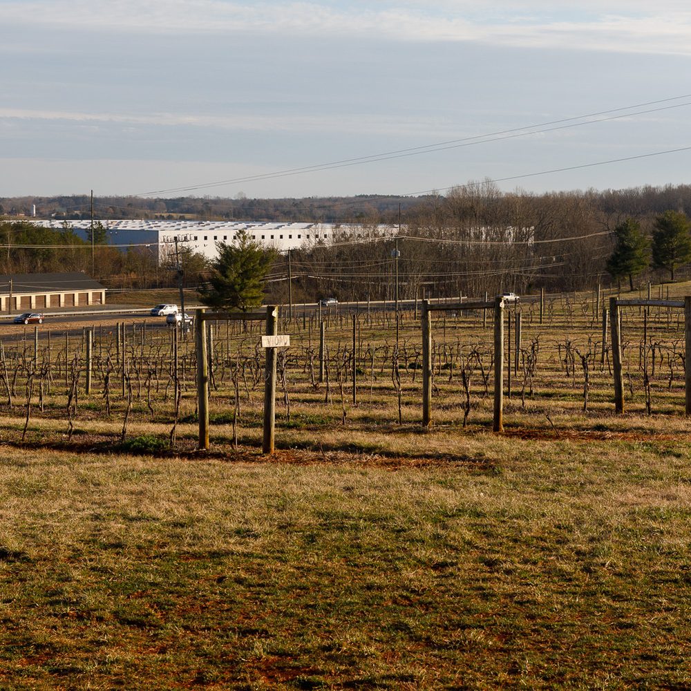 Honah Lee Vineyard - View from the tasting room. - Venues & Event Spaces Near Me - Gordonsville, Virginia Honah Lee Vineyard - View from the tasting room. - Venues & Event Spaces Near Me - Gordonsville, Virginia