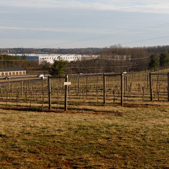 Honah Lee Vineyard - View from the tasting room. - Venues & Event Spaces Near Me - Gordonsville, Virginia Honah Lee Vineyard - View from the tasting room. - Venues & Event Spaces Near Me - Gordonsville, Virginia