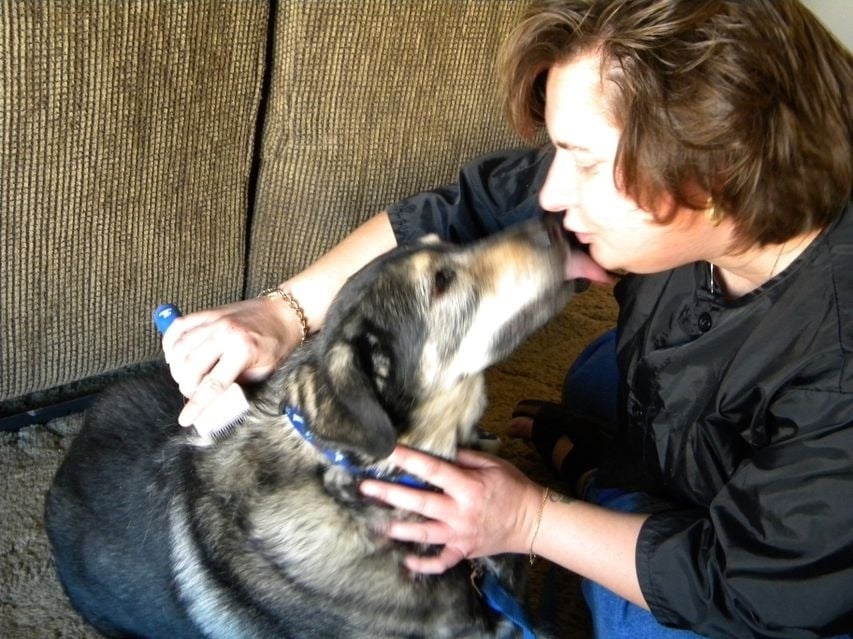 Tricia's Pet Services - pet boarding facility in Tucson, AZ