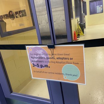 Animal Friends - Dog adoption center closed hours - Animal Shelters Near Me - Pittsburgh, Pennsylvania Animal Friends - Dog adoption center closed hours - Animal Shelters Near Me - Pittsburgh, Pennsylvania
