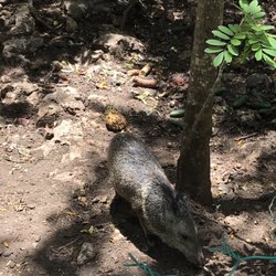 Akumal Adventours - Wildlife sanctuary