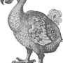 Photo of Dodohaus