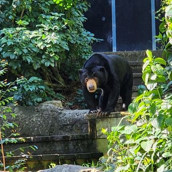 Sydney Zoo - Zoos Near Me - Bungarribee, NSW