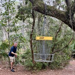 Holland Park Disc Golf Course - Hole 9