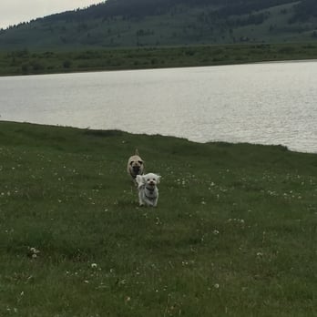 Redrock Rv Park - Dogs running along the edge of Henry's Lake. - Campgrounds Near Me - Island Park, Idaho Redrock Rv Park - Dogs running along the edge of Henry's Lake. - Campgrounds Near Me - Island Park, Idaho
