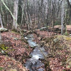 Mt Nebo Park - The creek in winter.