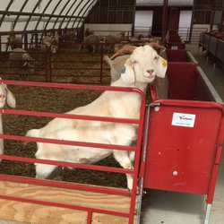 Peckham Farm at URI