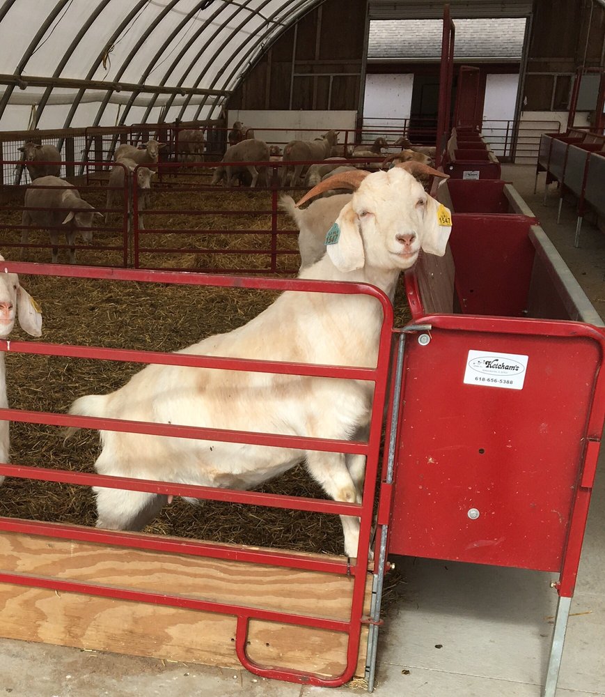 PECKHAM FARM AT URI Updated October 2024 55 Peckham Farm Rd, South