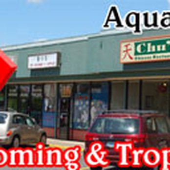 B-I-S Pet Grooming/Tropical Fish - Pet Groomers Near Me - Springfield, Oregon B-I-S Pet Grooming/Tropical Fish - Pet Groomers Near Me - Springfield, Oregon
