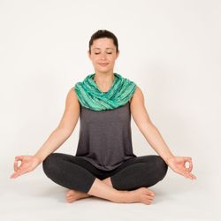 Yoga At The Ashram - Introducing Y-CBT: Yoga-Cognitive Behavioral Therapy Saturday, February 4, 2017 1-5 pm Cost: $70