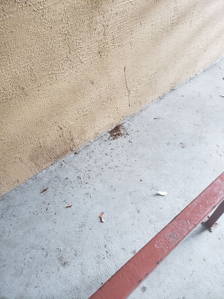 TIMBER SOUND APARTMENTS 36 Photos 4963 Raleigh St, Orlando, Florida