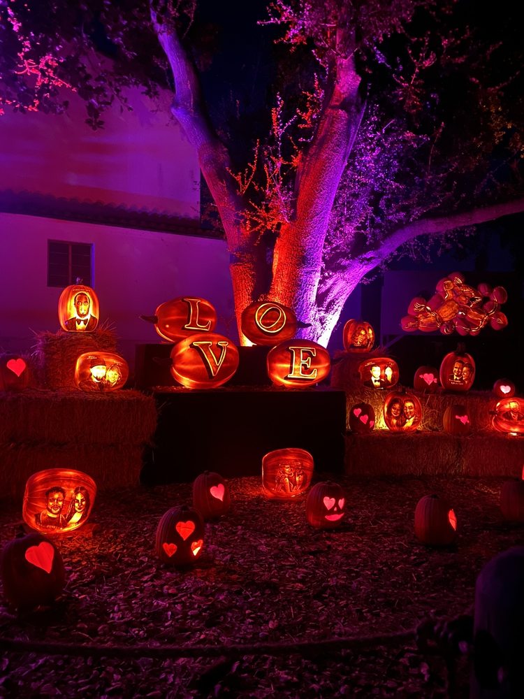 NIGHTS OF THE JACK Updated September 2024 1677 Photos & 199 Reviews