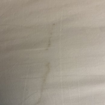 Econo Lodge - Stains on sheets - Hotels Near Me - Ripley, West Virginia Econo Lodge - Stains on sheets - Hotels Near Me - Ripley, West Virginia