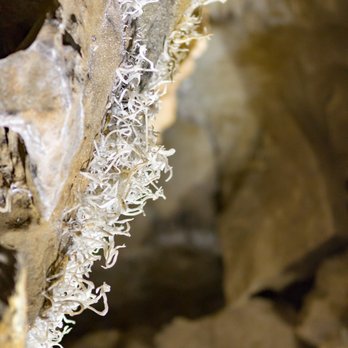 Black Chasm Cavern - helictites - Tours Near Me - Volcano, California