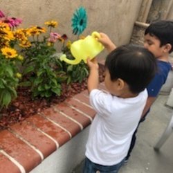 Belle Montessori and Daycare - They have outdoor time at the yard everyday
