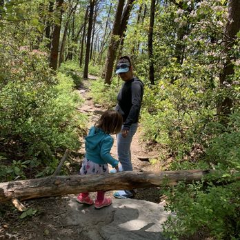 Cheaha State Park - Hiking Near Me - Delta, Alabama