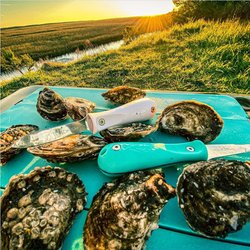 Four Green Fields - Toadfish oyster shuckers