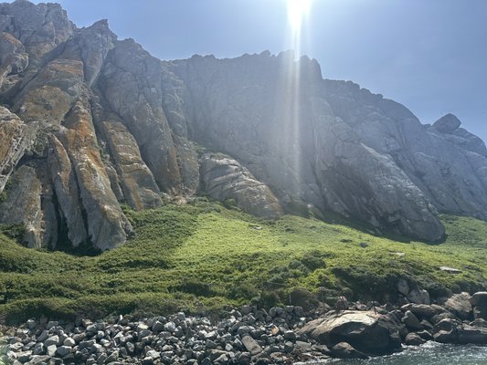 Morro Bay State Park by null