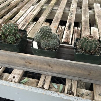 West End Nursery - Nurseries & Gardening Near Me - San Rafael, California West End Nursery - Nurseries & Gardening Near Me - San Rafael, California