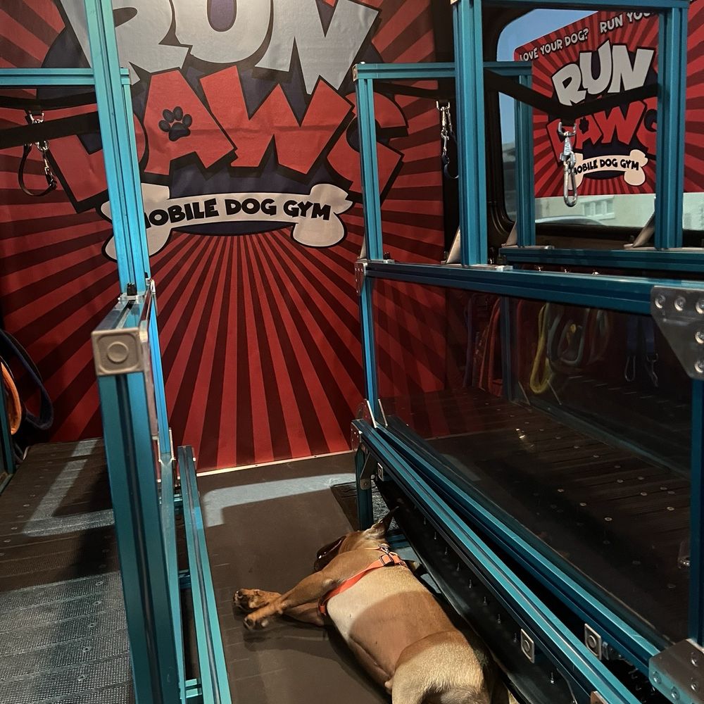 Run Dawg - Dog Walkers Near Me - Las Vegas, Nevada