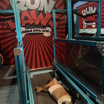 Run Dawg - Dog Walkers Near Me - Las Vegas, Nevada