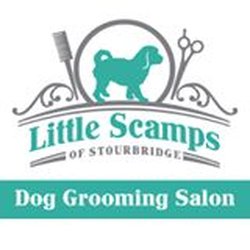 Little-Scamps - Little Scamps of Stourbridge Dog Grooming Salon City & Guilds Qualified
