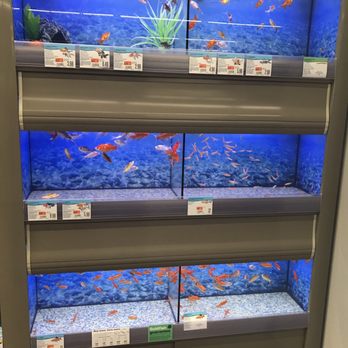 Pet Supplies Plus Durham - Pet Groomers Near Me - Durham, North Carolina Pet Supplies Plus Durham - Pet Groomers Near Me - Durham, North Carolina