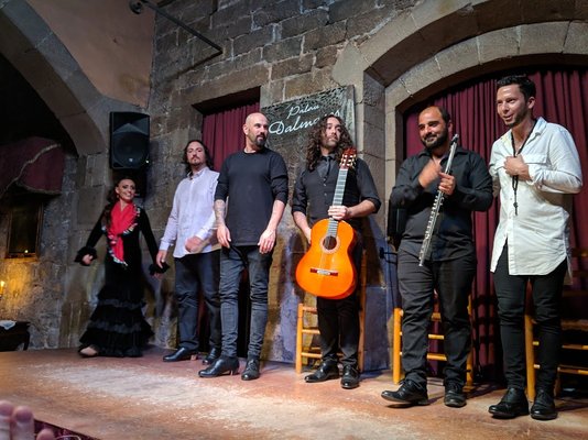 PALAU DALMASES by null