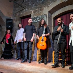 Palau Dalmases - The band