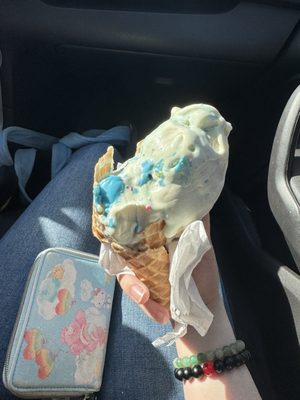 Bruster's Real Ice Cream by null