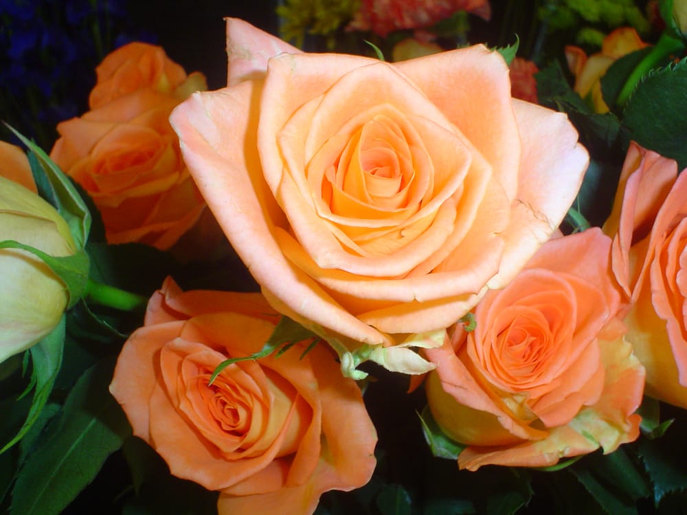 1ST CENTER FLORAL & GARDEN Updated August 2024 507 1st Center Ave