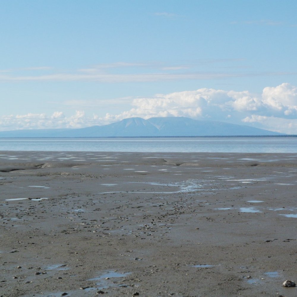 Lyn Ary Park - The Sleeping Lady taken from the beach. - Parks Near Me - Anchorage, Alaska Lyn Ary Park - The Sleeping Lady taken from the beach. - Parks Near Me - Anchorage, Alaska