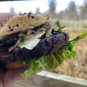 Humanitree House - The Vegan Burger - Juice Bars & Smoothies Near Me - Augusta, Georgia