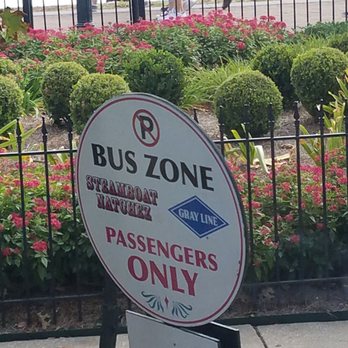 Gray Line New Orleans - Tours Near Me - New Orleans, Louisiana Gray Line New Orleans - Tours Near Me - New Orleans, Louisiana