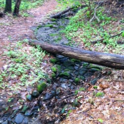Lincoln Woods Wildlife Sanctuary