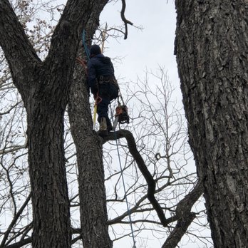 West Landscaping And Construction Services - Pruning - Landscaping Near Me West Landscaping And Construction Services - Pruning - Landscaping Near Me