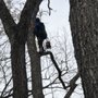 West Landscaping And Construction Services