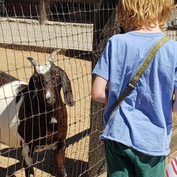 Casa Grande Trading Post & Petting Zoo