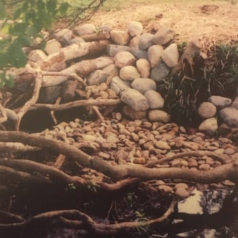 Spicer Landscape Design - a pile of rocks and trees - Landscaping Near Me Spicer Landscape Design - a pile of rocks and trees - Landscaping Near Me