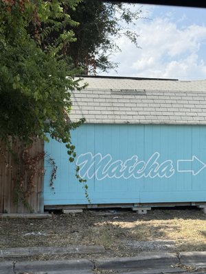 Love Lamp Matcha by null