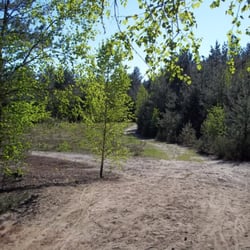 Biberpfad - Königsbrücker Heide