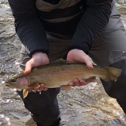 Noontootla Creek Farms - Guide David and I in late March 2019. Caught a few 'bows!