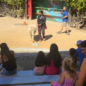 America's Teaching Zoo - Zoos Near Me - Moorpark, California