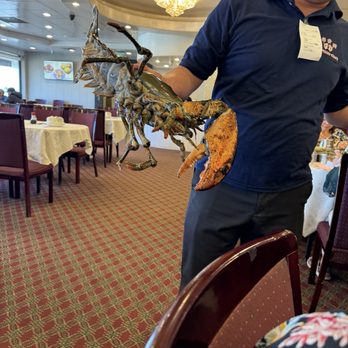 Seafood Cove 2 - Dim Sum Near Me - Westminster, California